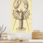 diagram van de meetkamer (1897) poster (Keuken)