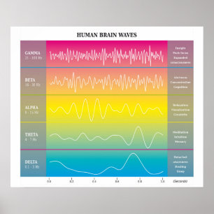 Diagram van de menselijke breingolven - regenboogk poster