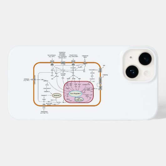 Diagram van de paden van de cel gensignaaloverdrac Case-Mate iPhone case (Achterkant (horizontaal))