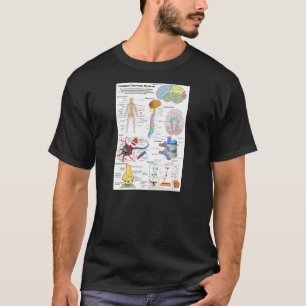 Diagram van het humaan brein en centraal zenuwstel t-shirt