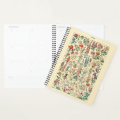 Diagramme de Fleur sauvage botanique Fleurs (Devant avec enveloppe)