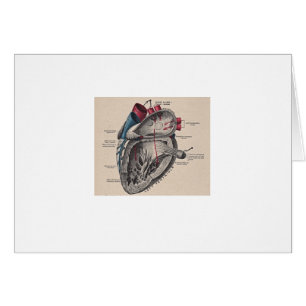 Diagramme humain antique d'anatomie de coeur