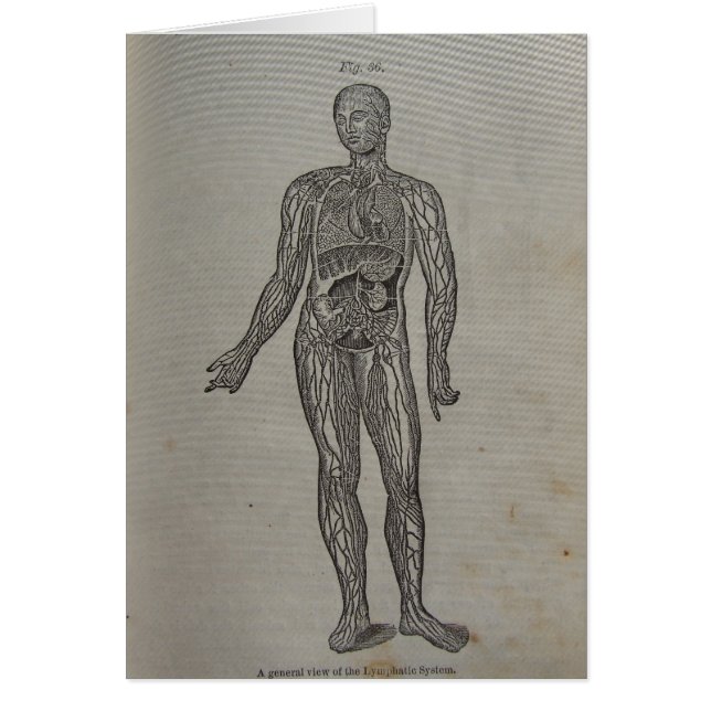 Diagramme Médicale du livre de 1875 (Devant)