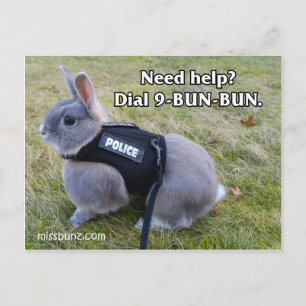 Dial 9 Bun Bun Briefkaart
