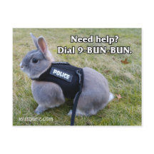Dial 9 Bun Bun Briefkaart
