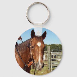 diamant sleutelhanger