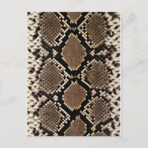 Diamond Back Rattlessnake Skin Briefkaart