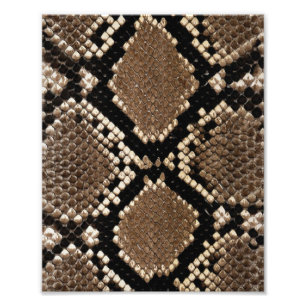 Diamond Back Rattlessnake Skin Foto Afdruk