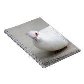 Diamond Dove Bird journal Notitieboek (Rechterzijde)