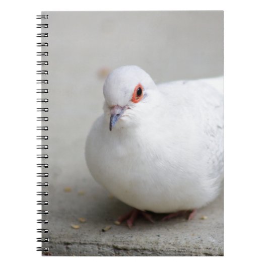 Diamond Dove Bird journal Notitieboek (Voorkant)