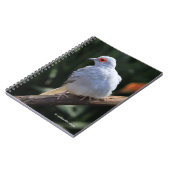 Diamond Dove in de Spotlight Notitieboek (Linkerzijde)