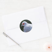 Diamond Dove in de Spotlight Ronde Sticker (Envelop)