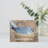 DIAMOND DOVE OP NEST BRIEFKAART (Staand voorkant)