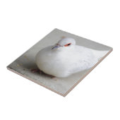 Diamond Dove-vogeltegel Tegeltje (Zijkant)