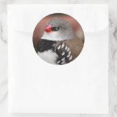 Diamond Firetail Finch Ronde Sticker (Tas)