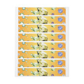 Diamond Galaxy 7 (Vel)