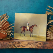 Diamond, met Dennis Fitzpatrick Up, 1799 (olie op Fotoplaat (Zijkant)