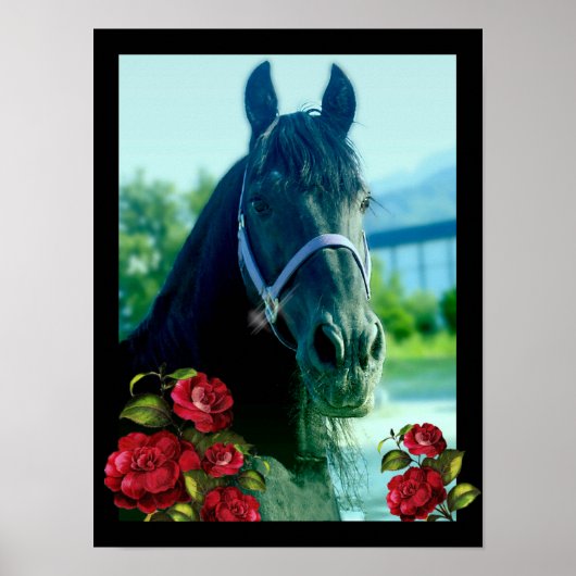 DIAMOND Portrait - Poster (Devant)