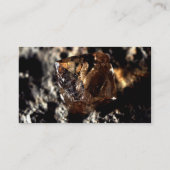 Diamond, roky visitekaartje (Achterkant)