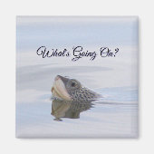 Diamondback Terrapin Turtle Face Magnet (Devant)