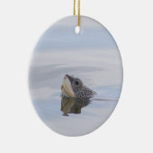 Diamondback Terrapin Turtle Face Ornament  (Rechts)