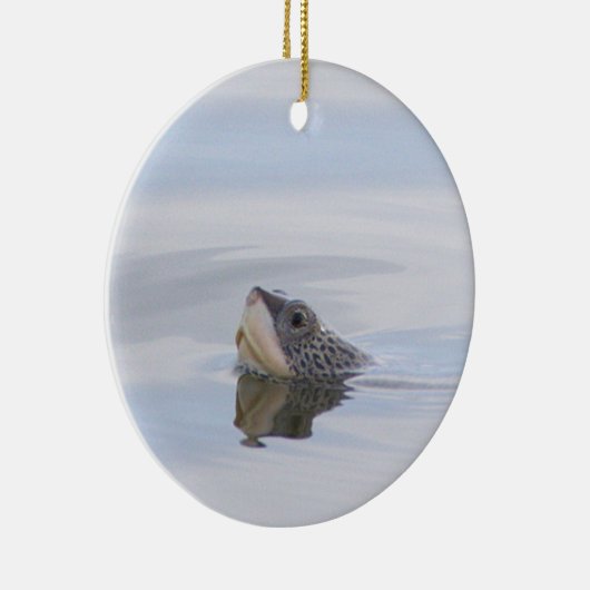 Diamondback Terrapin Turtle Face Ornament (Rechts)