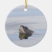 Diamondback Terrapin Turtle Face Ornament (Voorkant)
