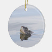 Diamondback Terrapin Turtle Face Ornament  (Links)