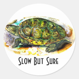 diamondback Terrapin Turtle van JungleWalk.Com Ronde Sticker