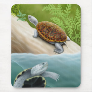 Diamondback Terrapin Turtles Mousepad Muismat