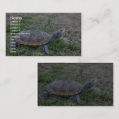 Diamondback Terrapin Visitekaartje (Voorkant / Achterkant)