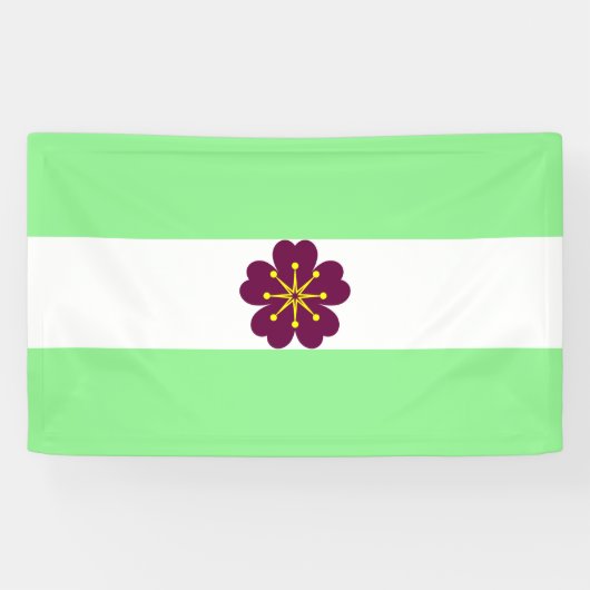 Diamoric Pride Banner (Horizontaal)