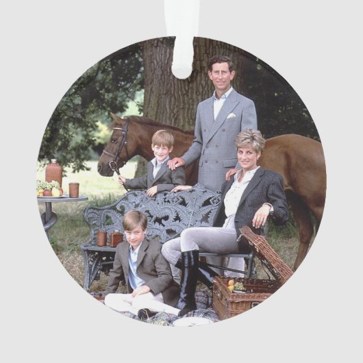 Diana Charles William Harry 1992 (dos)