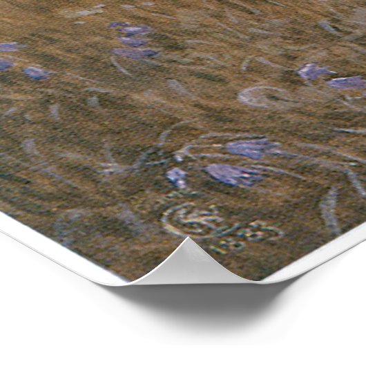 Diana en Endymion Poster (Hoek)