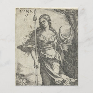 Diana Luna Vintage Illustration Scrapbook Papier