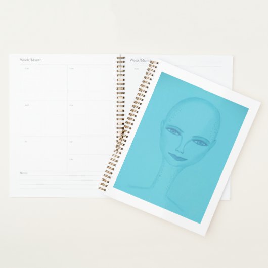 Diana Planner (Display)