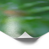 Dianthus bloem na regen foto afdruk (Hoek)