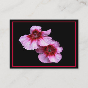 Dianthus Blossom ATC Visitekaartje