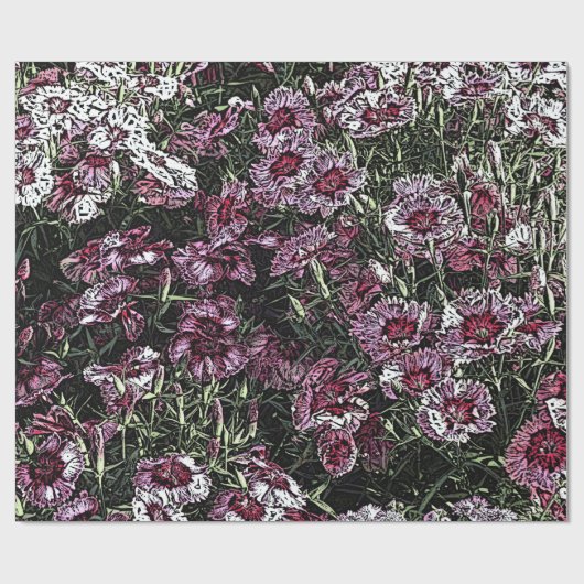 DIANTHUS CADEAUPAPIER (Vlak)