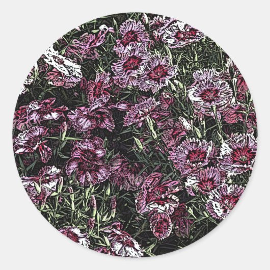 DIANTHUS FLOWERS RONDE STICKER (Voorkant)