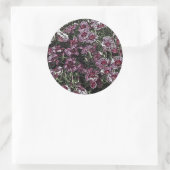 DIANTHUS FLOWERS RONDE STICKER (Tas)