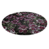 DIANTHUS FLOWERS SNIJPLANK (Hoek)