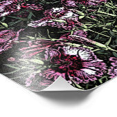 DIANTHUS FOTO AFDRUK (Hoek)