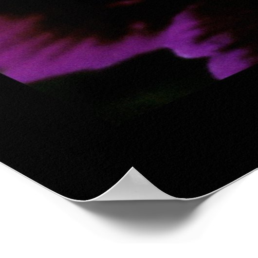 dianthus poster (Hoek)