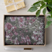 DIANTHUS TISSUEPAPIER (Geschenk)
