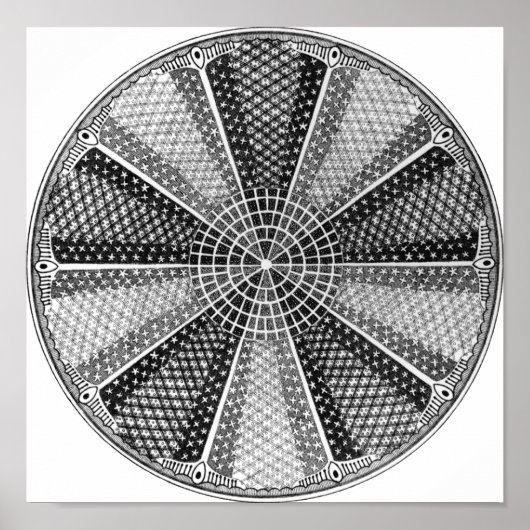 Diatom 13 Ernst Haeckel Fine Art Poster (Voorkant)