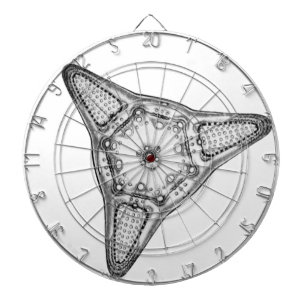Diatom Dartbord