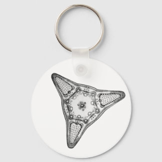 Diatom Sleutelhanger