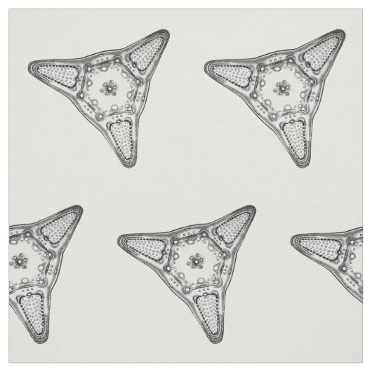 Diatom Stof (Swatch)