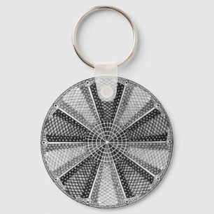 Diatomeeën 13 het Fijne Art. van Ernst Haeckel Sleutelhanger